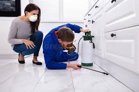 Reliable San Antonio, FL Pest control Solutions